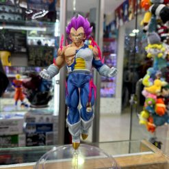 Vegeta ultra ego